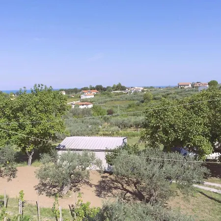 Tra Gli Ulivi Bed and Breakfast