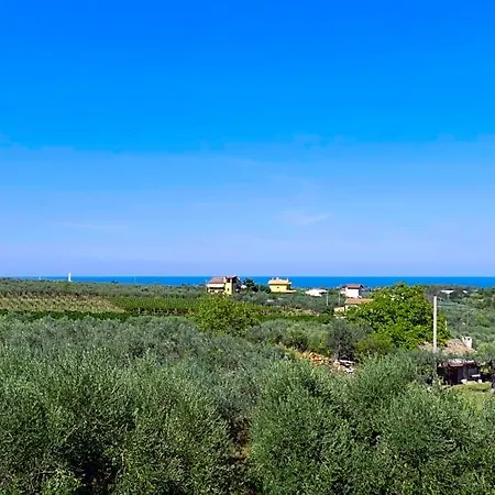 Tra Gli Ulivi Bed & Breakfast