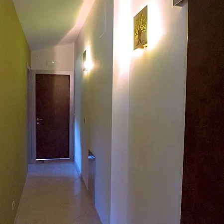 Tra Gli Ulivi Bed & Breakfast Vasto