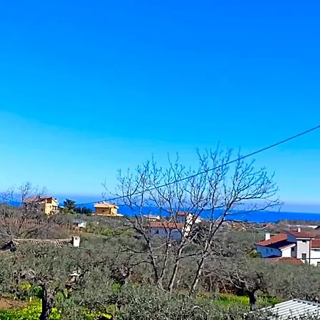 Tra Gli Ulivi Vasto
